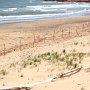 ... et pourtant le sable blond